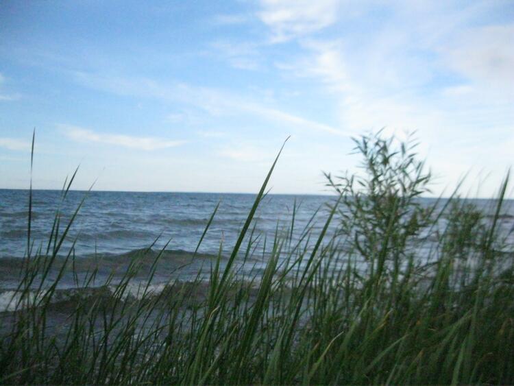 Sea